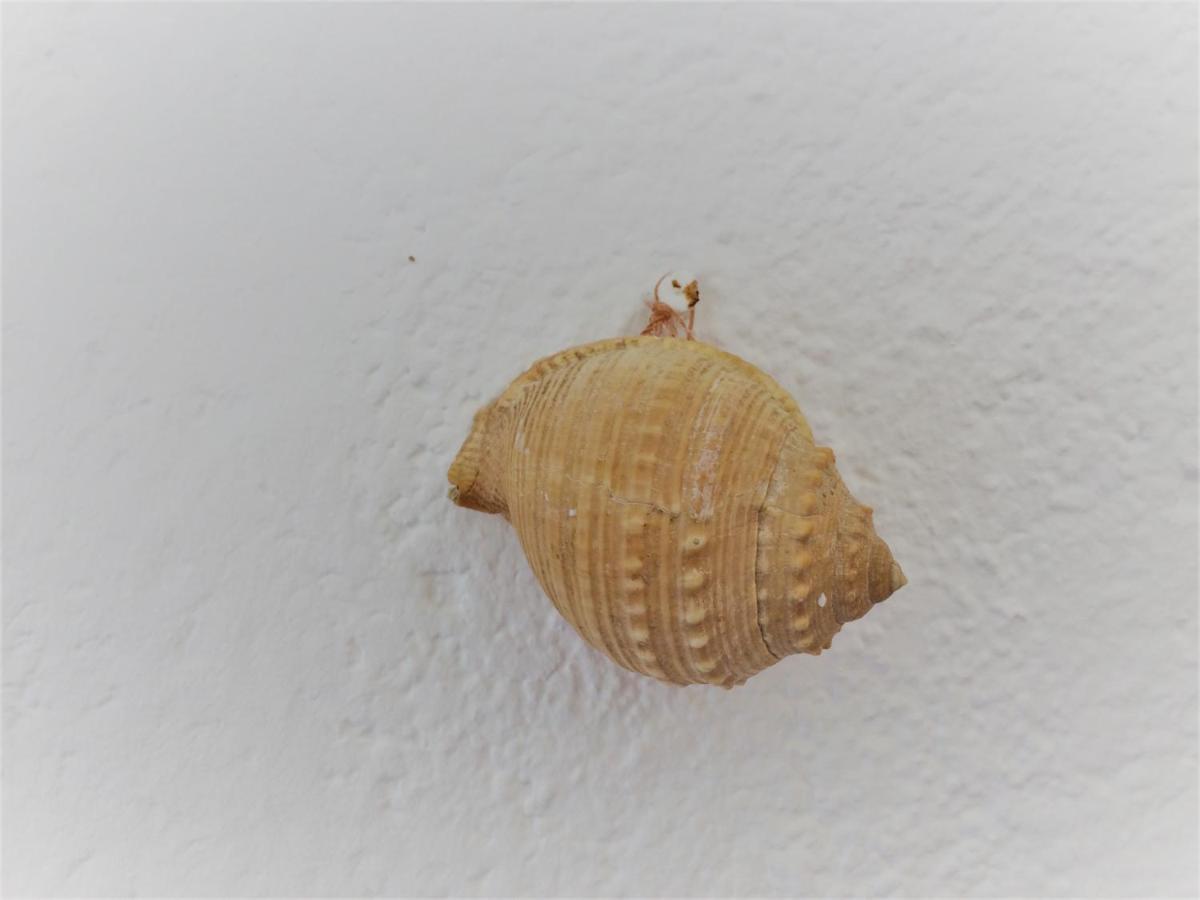 Appartement Apartman Turkesici à Jablanac Extérieur photo